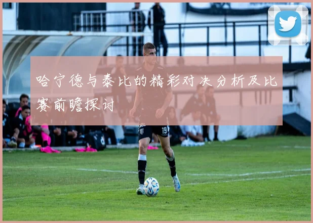 哈宁德与泰比的精彩对决分析及比赛前瞻探讨