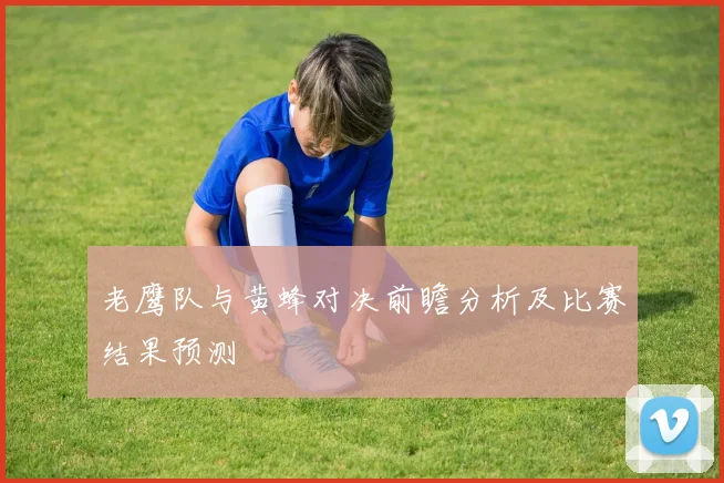 老鹰队与黄蜂对决前瞻分析及比赛结果预测