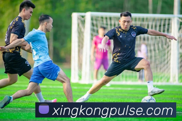 星空体育发展历程